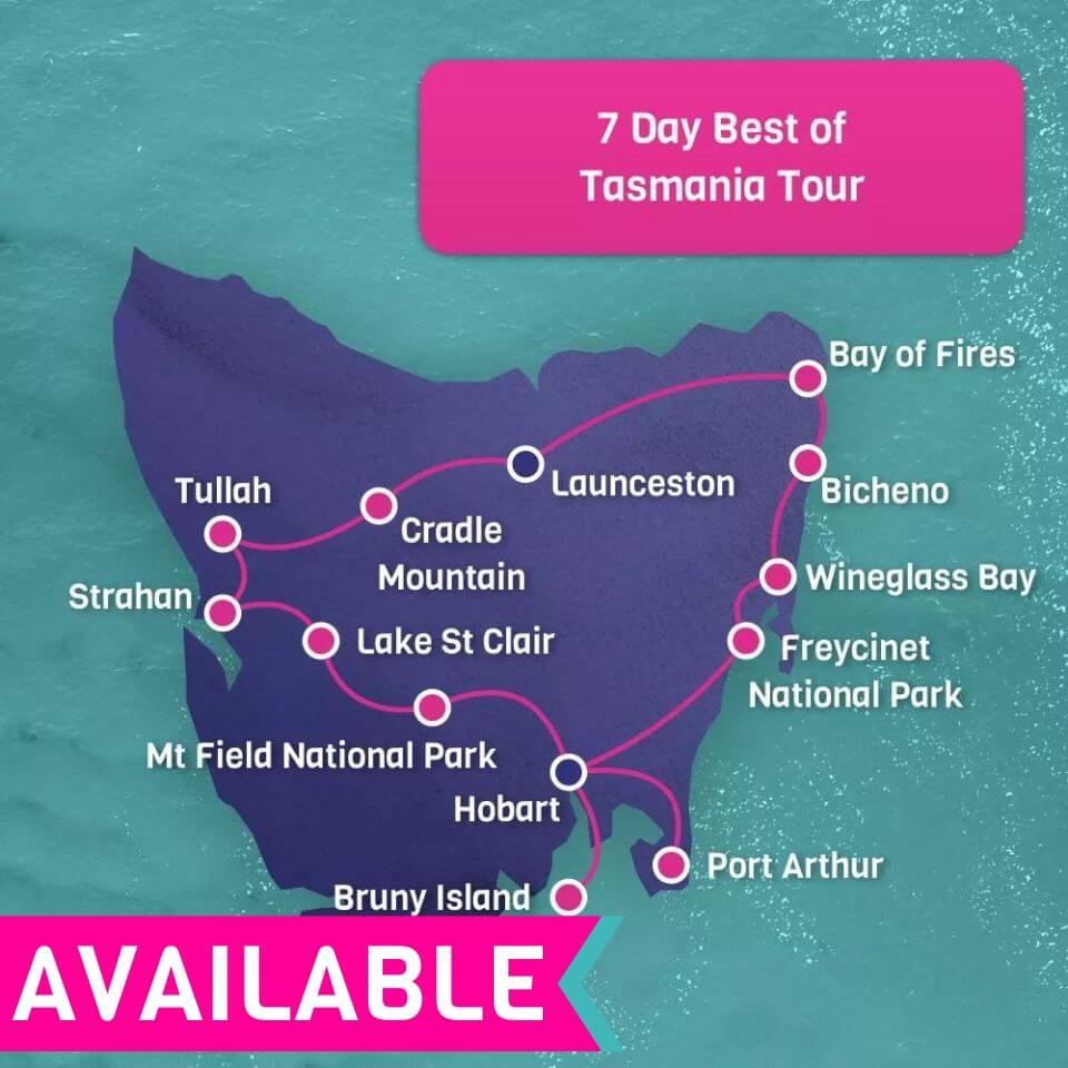 Super 7 Tassie Tour from Hobart to Hobart 1075