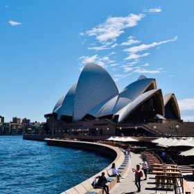 Stray Australia - Sydney to Brisbane 8 Day Tour KOALA Stray Australia - Sydney to Brisbane 8 Day Tour KOALA