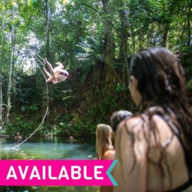 Cape Tribulation and Daintree Rainforest Day Tour - UBCT Cape Tribulation and Daintree Rainforest Day Tour - UBCT