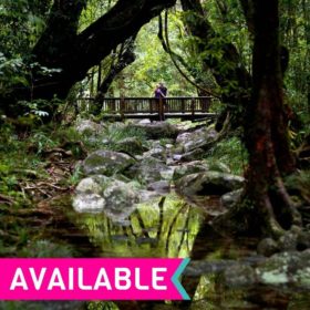 1 Day Cape Tribulation Tour - ADCT 1 Day Cape Tribulation Tour - ADCT