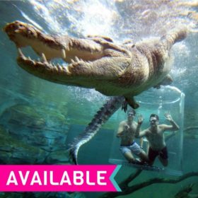 Crocosaurus Cove Cage of Death Crocosaurus Cove Cage of Death