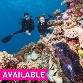 Simply Great Barrier Reef Simply Great Barrier Reef