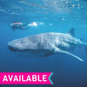 Perth to Exmouth (one way) 6 Day Tour Perth to Exmouth (one way) 6 Day Tour