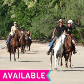 Cape Tribulation Horse Ride Cape Tribulation Horse Ride