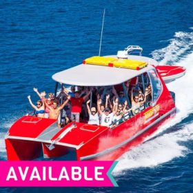 Thundercat Whitsundays Day Trip Thundercat Whitsundays Day Trip