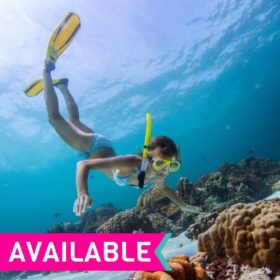 Reef and Waterfalls Package Deal with 3 Nights! Reef and Waterfalls Package Deal with 3 Nights!