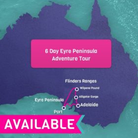 6 Day Eyre Peninsula & Flinders Ranges Tour 6 Day Eyre Peninsula & Flinders Ranges Tour