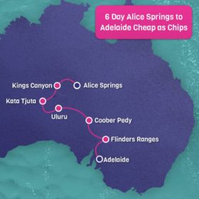 Alice Springs to Adelaide Cheap as Chips