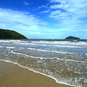 Cape Tribulation Tour and Stay - 2 days 1 night Cape Tribulation Tour and Stay - 2 days 1 night