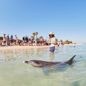 4 Day Monkey Mia Tour 4 Day Monkey Mia Tour