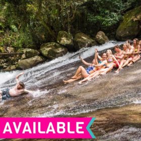 2 Day Atherton Tablelands & Daintree Rainforest Tour 2 Day Atherton Tablelands & Daintree Rainforest Tour