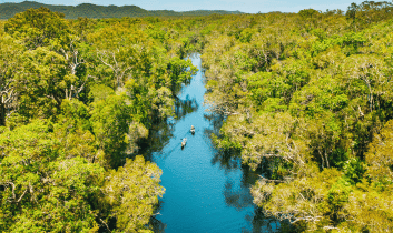 People caoeing Noosa everglades p
