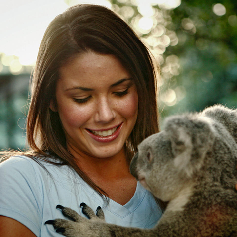 3 Day 2 Night Southern Great Barrier Reef tour from Brisbane or Gold Coast