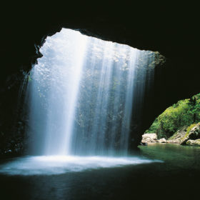 Springbrook National Park & Natural Arch Half Day Tour Springbrook National Park & Natural Arch Half Day Tour
