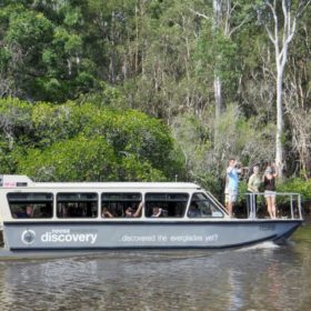 Noosa Everglades 1 Day River Eco Cruise Noosa Everglades 1 Day River Eco Cruise