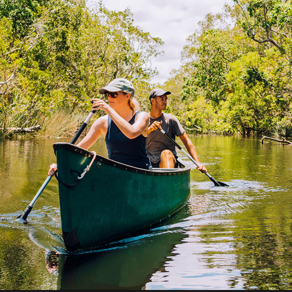 Noosa Everglades Kayak Tour from 110