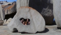 Remarkable rocks