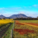 Stirling Ranges WA