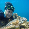 whitsundays-scenic-flight-ocean-rafting-package turtle