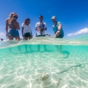 whitsunday island day tour