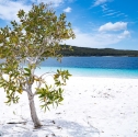 Discovery Adventure Group - 1 day fraser island tour lake mckenzie