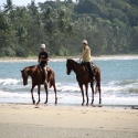 Cape Trib horse Rides