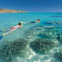 Exploring the Ningaloo Reef WA