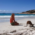 Lucky Bay Kangaroo
