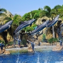 Sea World, Gold Coast