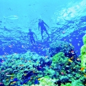topdeck Tours