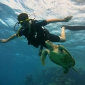 Scuba Diving