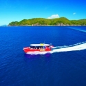 Thundercat Whitsundays
