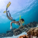 Great Barrier Reef Snorkelling