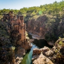 butterfly-gorge