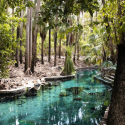 Mataranka Hot Springs