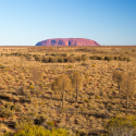 Uluru Rock