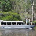 1 Day Cruise Noosa Everglades