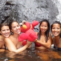 Taking Elmo for a swim