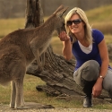 Feeding Kangaroos