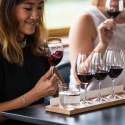barossa-valley-1-day-tour