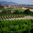 barossa-valley-day-tour