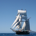 Whitsundays Boat Tour