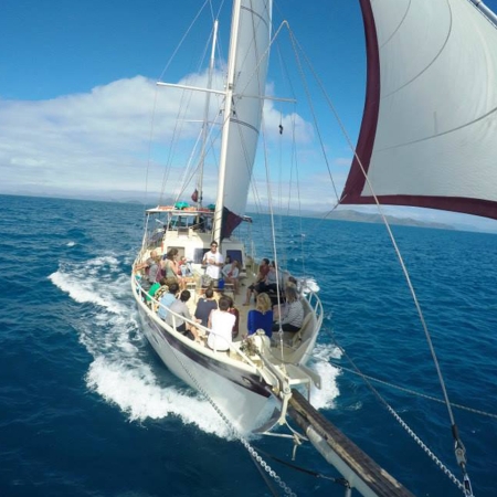 The Whitsundays Sail Boat