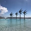 Lagoon Cairns