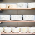 Bruny Island Day Tour Cheese