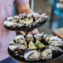 Bruny Island Day Tour Oysters