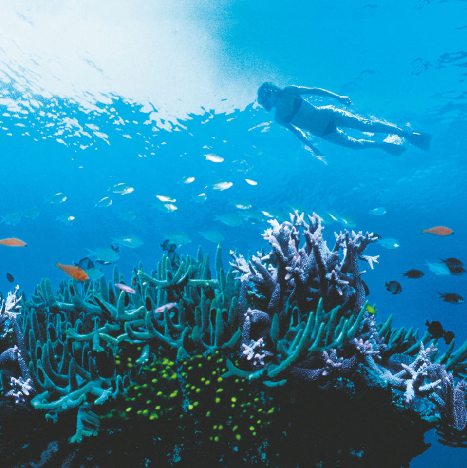 whitsundays snorkelling tour